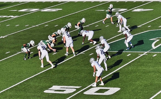 仅仅是个人 仅仅是个人