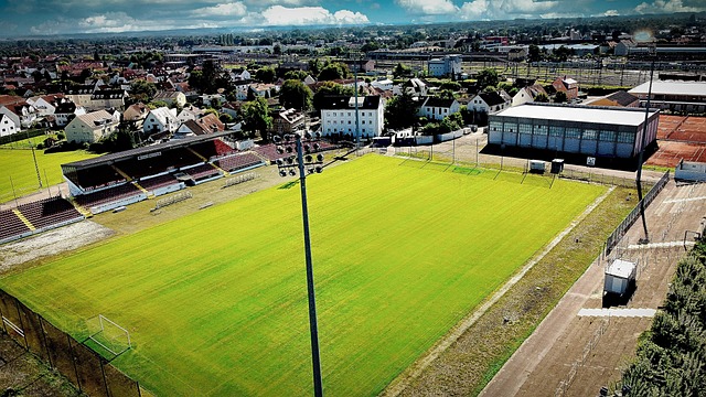 在这个竞争 在这个竞争