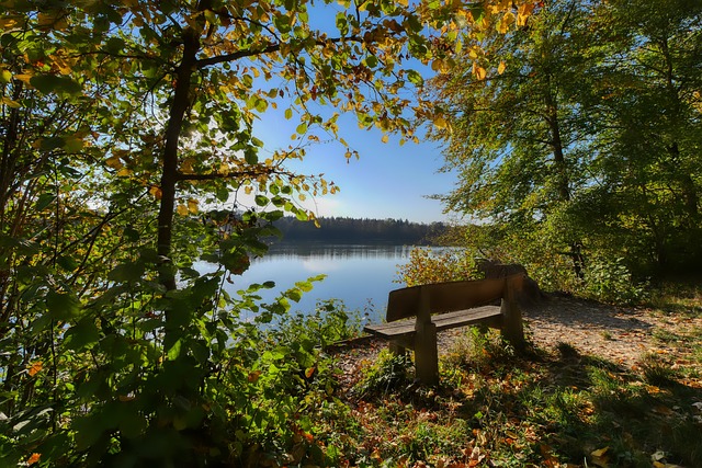 幫助藍軍奪 幫助藍軍奪