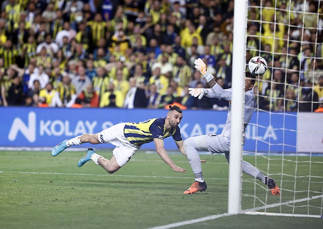 球员尤为珍 球员尤为珍